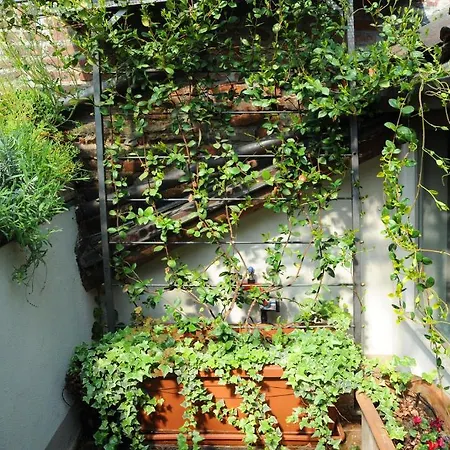 Bb Le Due Matote Guest house Turin